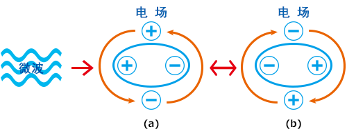 图1测定原理概略(测定物:水)