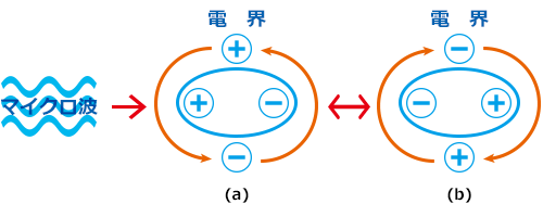 図１測定原理の概略（対象：水）