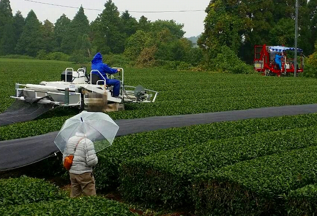 タイトル