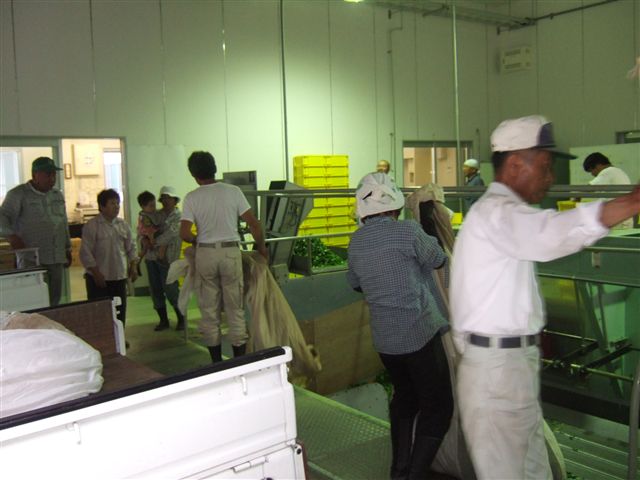 0627haruno_sugi_namaha001.jpg
