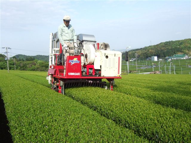 20070420_fukuroi_yamamo01_R.jpg