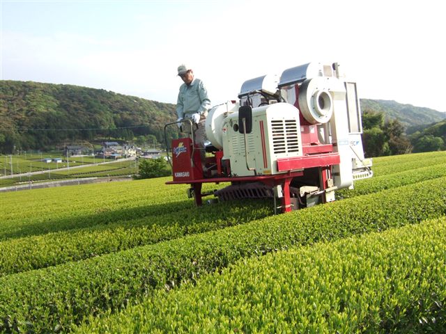 20070420_fukuroi_yamamo02_R.jpg