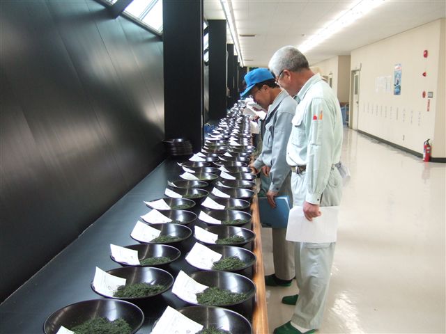 20070509_irefuda_R.jpg