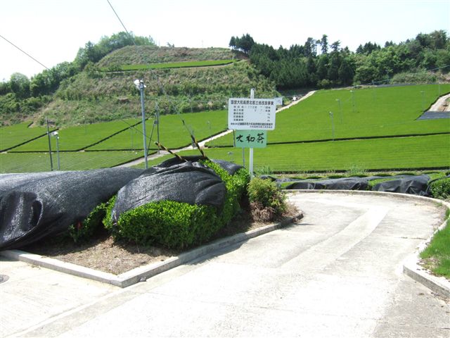 20070511_yamatotya_hifuku002_R.jpg