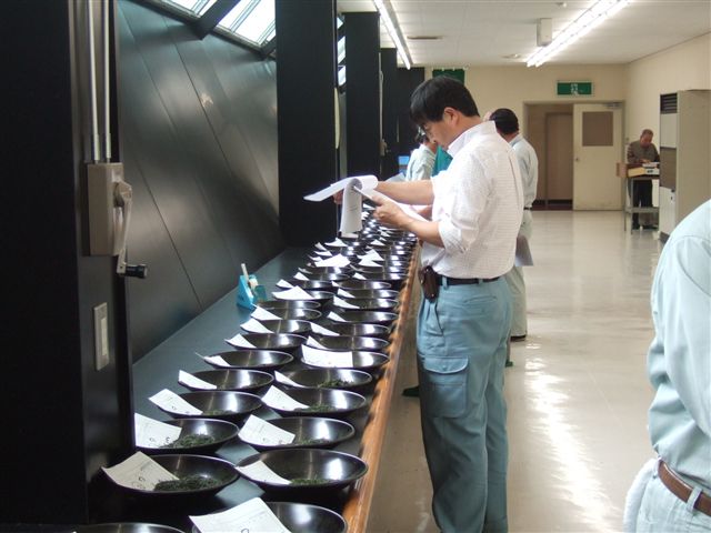 20070519_irefuda_R.jpg