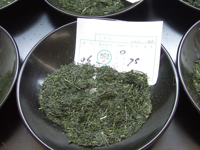 20070519_jyoujyou_R.jpg