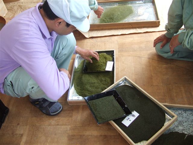 20070523_syuppintya_tyousei_001_R.jpg