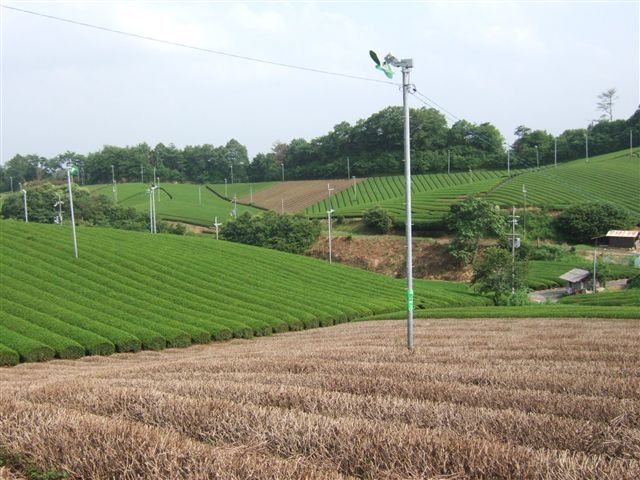20070710_kyoto_002.jpg
