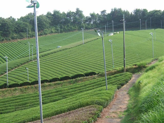 20070710_kyoto_003.jpg