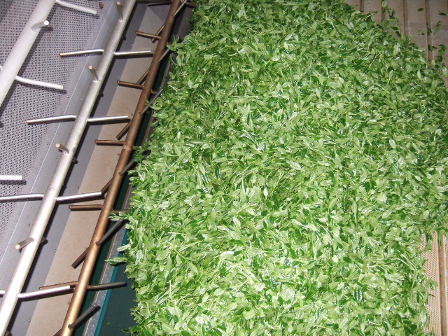 img/20080408-2.jpg