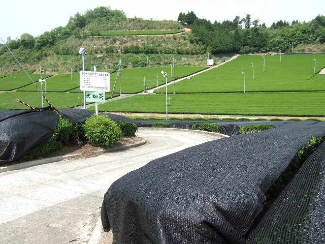 20080509-1.jpg