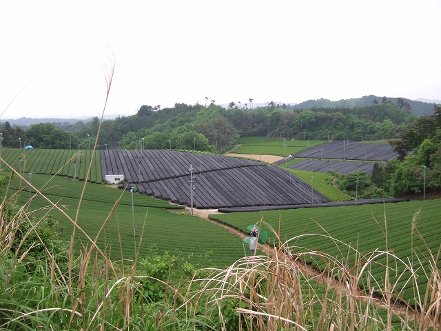 20080509-1.jpg