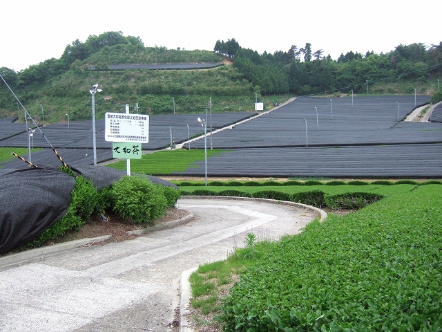 20080509-1.jpg