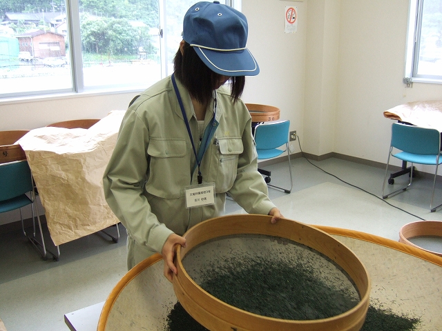 20080603-4.jpg