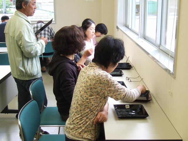 20080603-5.jpg