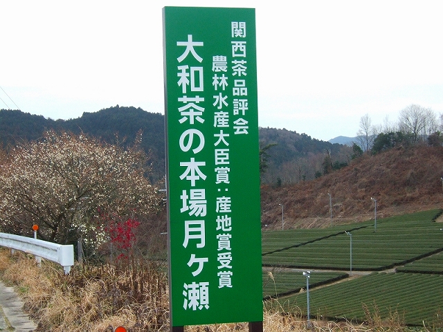 20090306-2.jpg