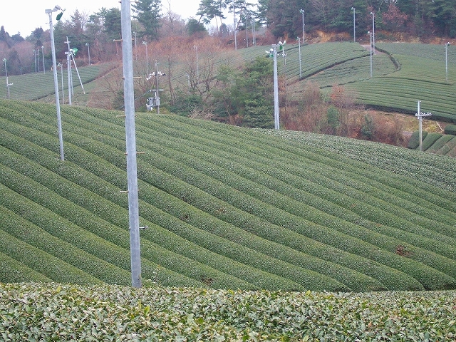 20090306-3.jpg