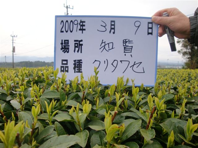 20090309-11.jpg