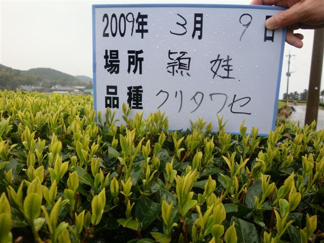 20090309-12.jpg