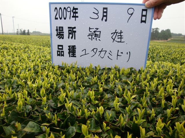 20090309-13.jpg