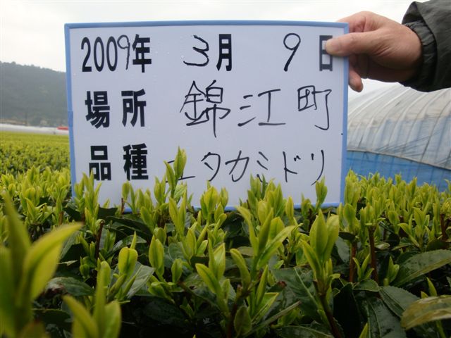 20090309-17.jpg