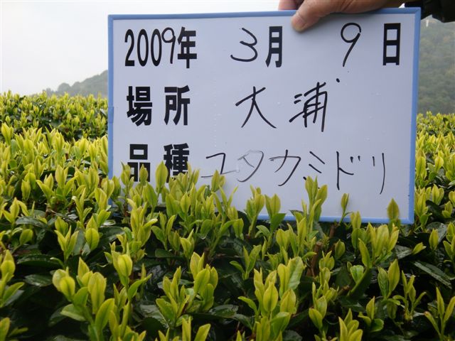 20090309-18.jpg