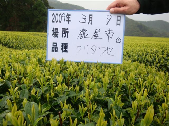 20090309-19.jpg