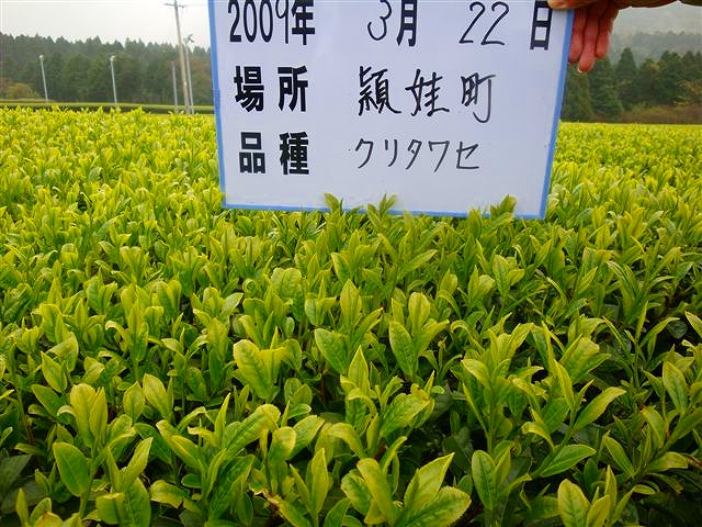 20090322-1.jpg
