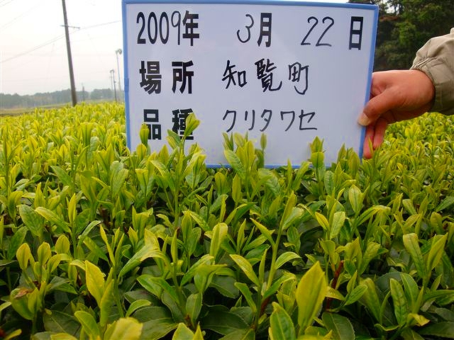 20090322-11.jpg
