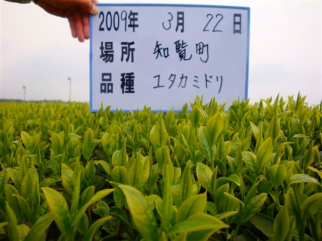 20090322-13.jpg