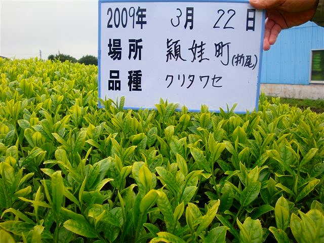 20090322-2.jpg