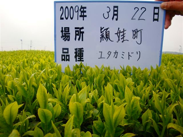 20090322-3.jpg