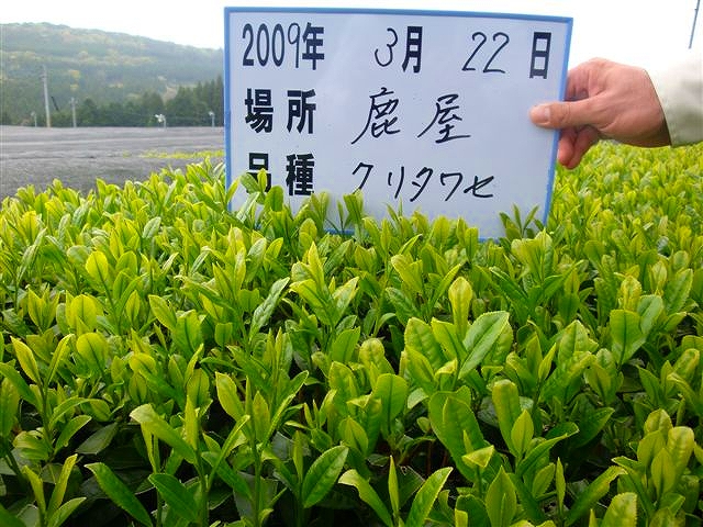 20090322-4.jpg