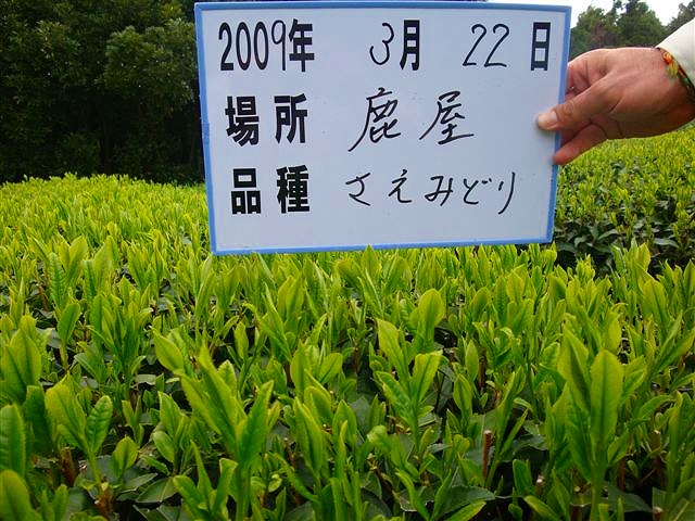 20090322-5.jpg