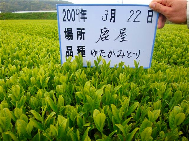 20090322-7.jpg
