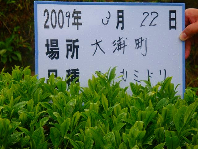 20090322-8.jpg