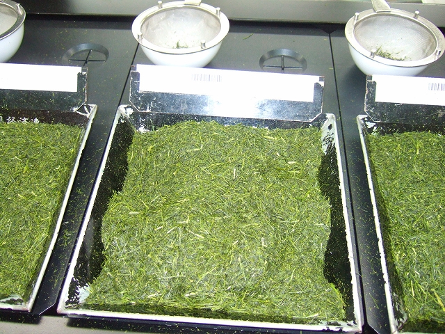 20090404-3.jpg