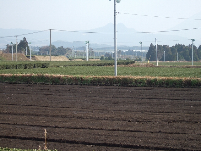 201002-4.jpg