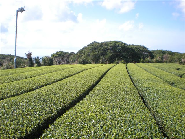 img/20100224-3.jpg