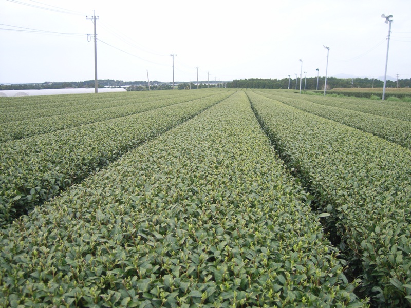 2010030507.jpg