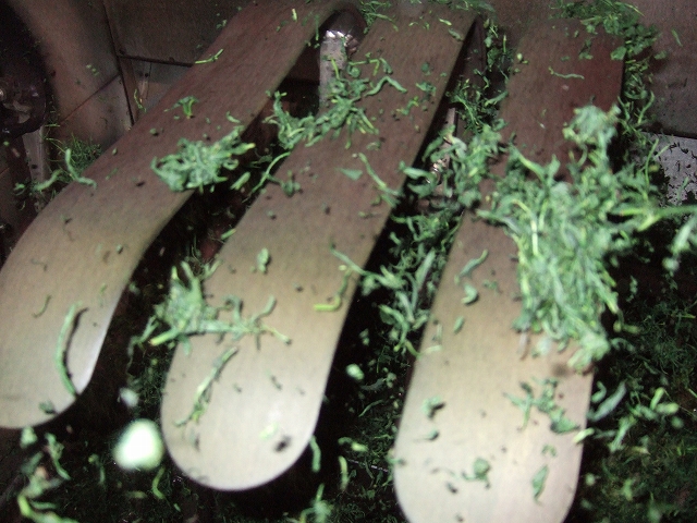 img/2010031624.jpg
