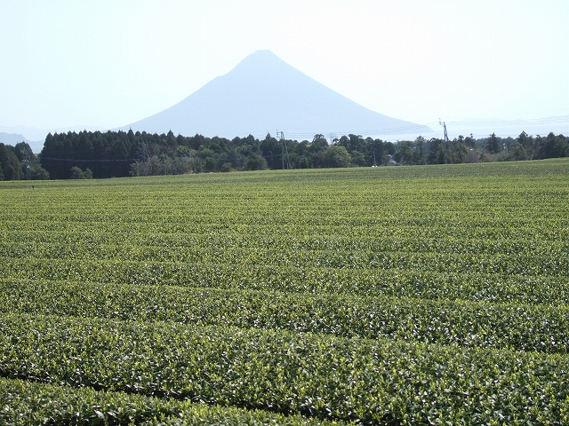 2010031702.jpg