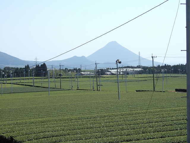 2010031713.jpg