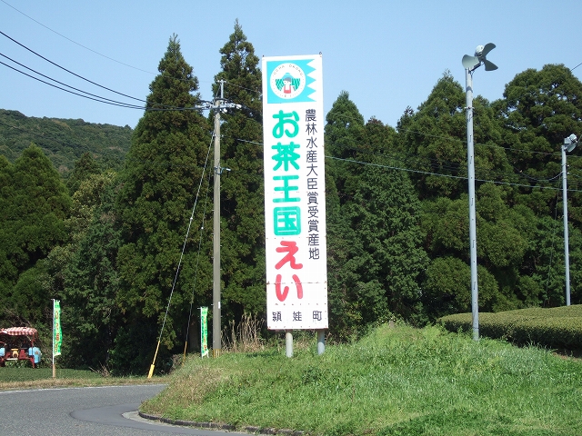 2010031716.jpg