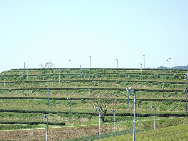 2010031717.jpg