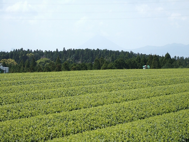 2010031807.jpg
