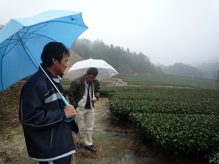 2010032403.jpg