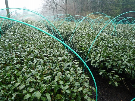 2010032406.jpg