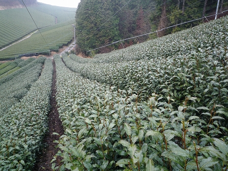 2010032408.jpg