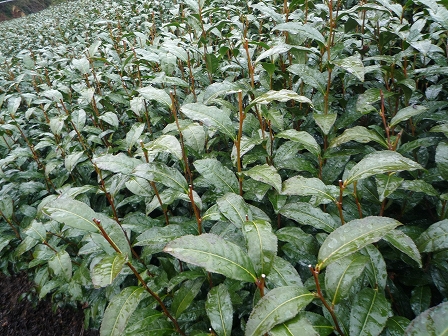 2010032409.jpg